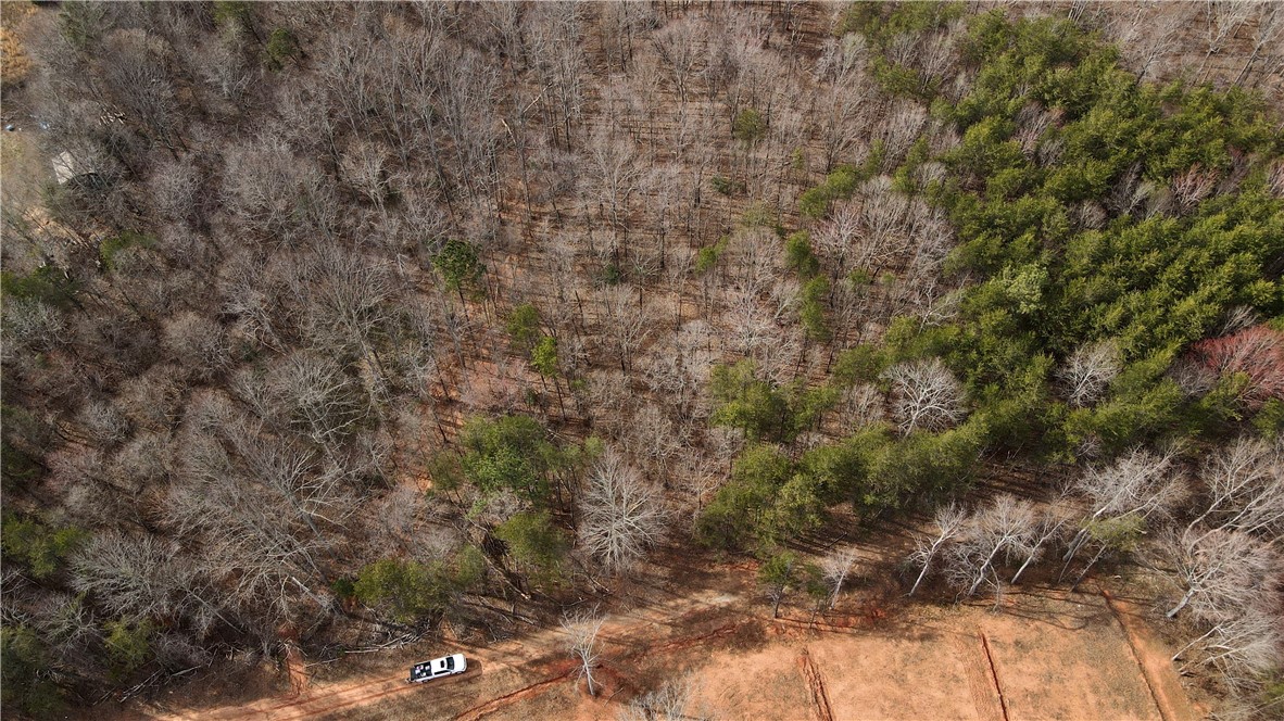 0 Rainbow Lake Road Campobello, SC 29322 - Photo 4 of 7