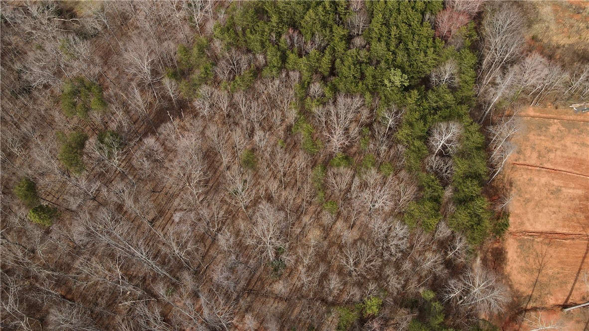 0 Rainbow Lake Road Campobello, SC 29322 - Photo 5 of 7