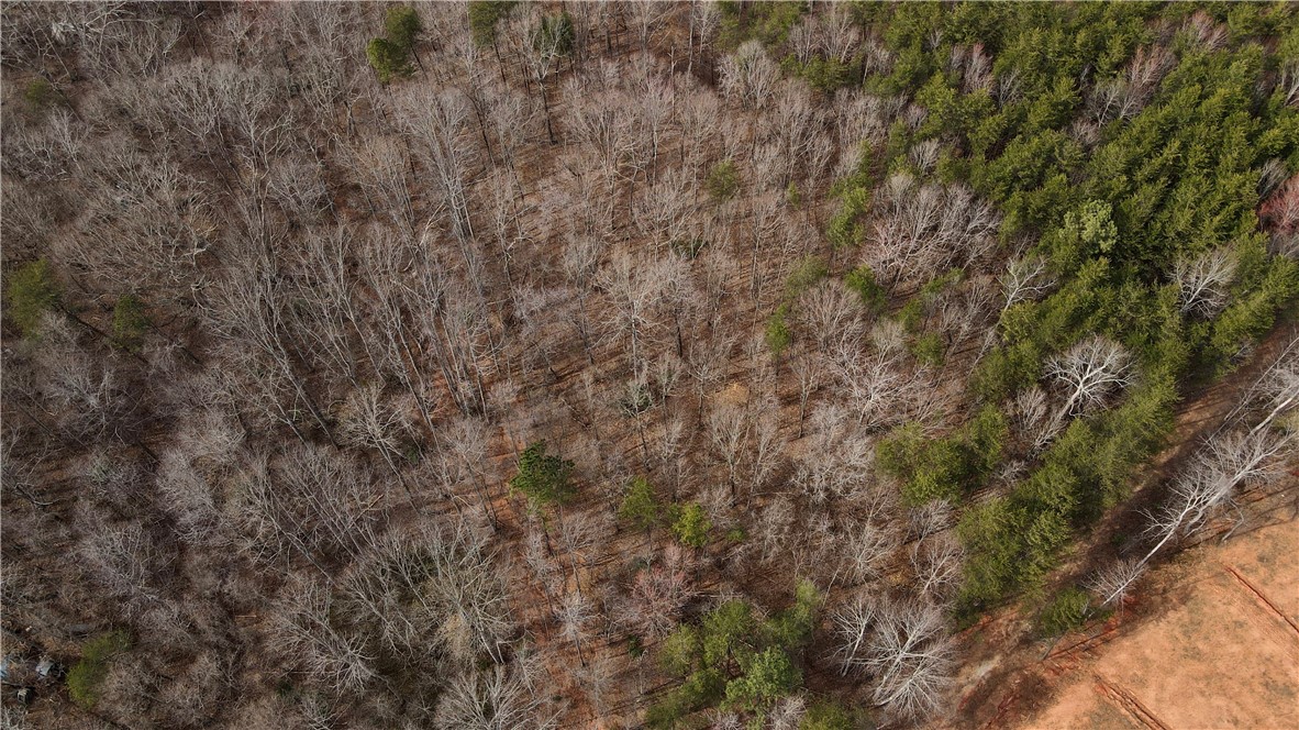 0 Rainbow Lake Road Campobello, SC 29322 - Photo 7 of 7