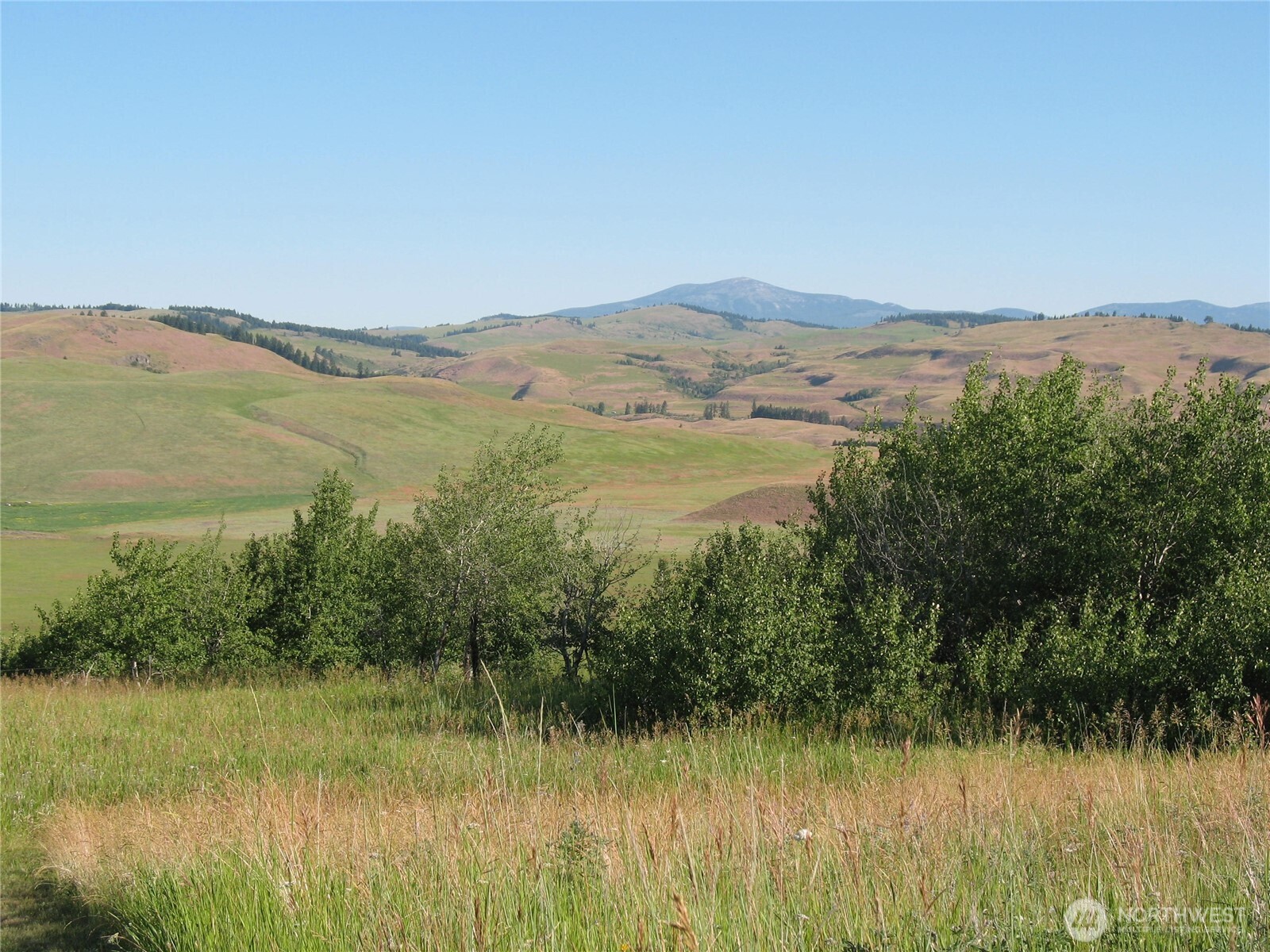 40 Turner Homestead Road Oroville, WA 98844 - Photo 27 of 27