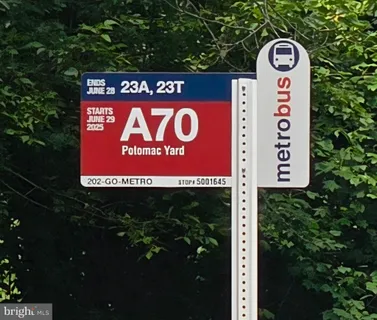 a view of a yard with plants and large trees