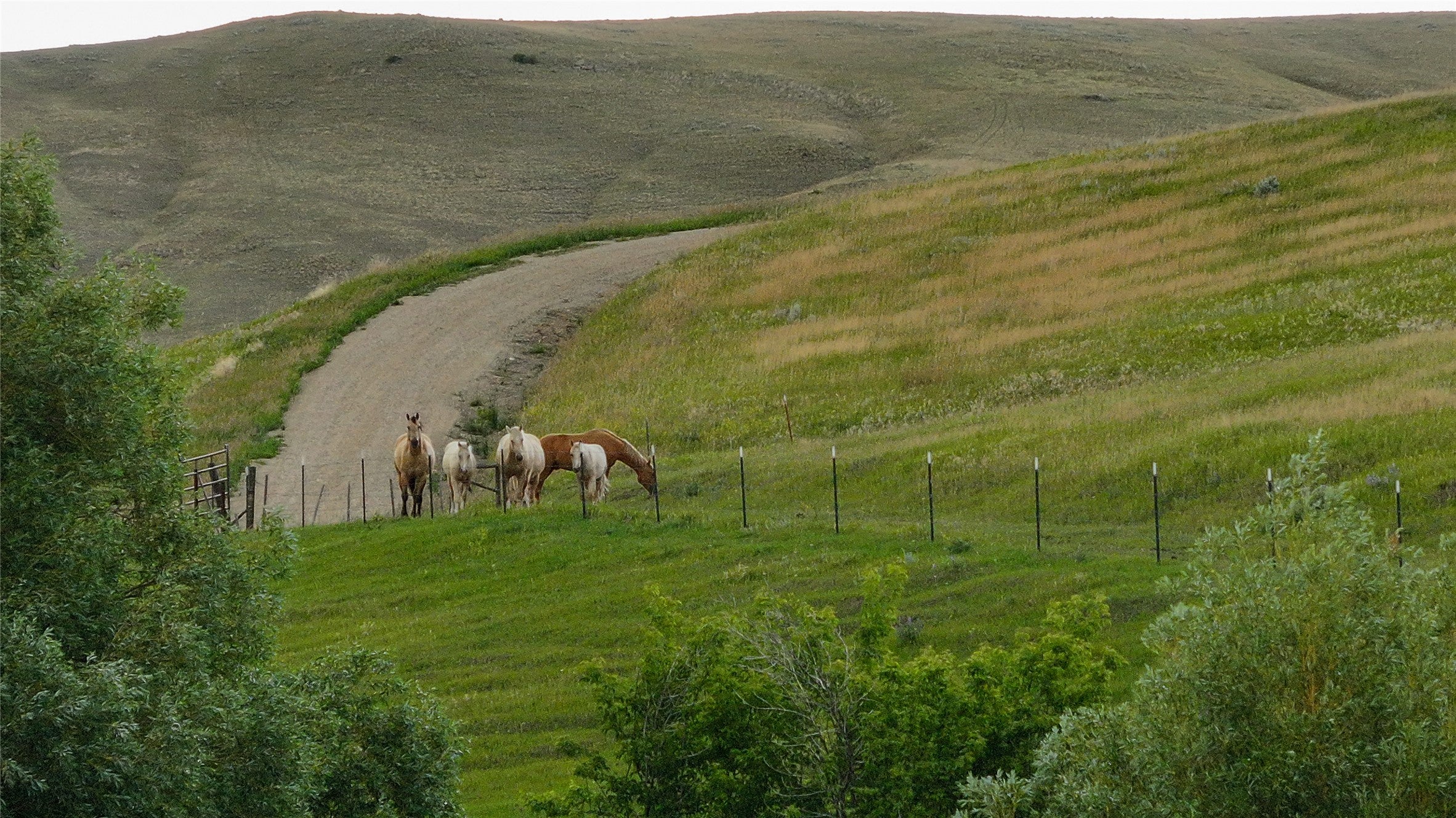 581 Willow Creek Road Red Lodge, MT 59068 - Photo 58 of 64 Gallery Image 58