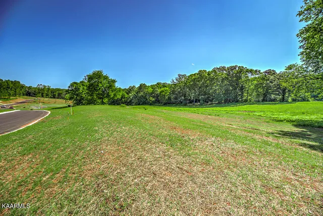 $110,000 | Lot9-846 Sophie Drive, Greenback, TN 37742