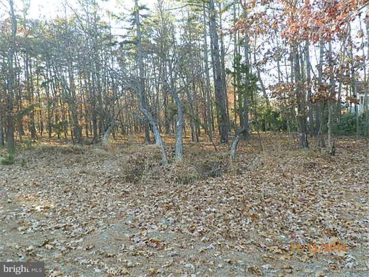150 Powell Place Road Tabernacle, NJ 08088 - Photo 13 of 13