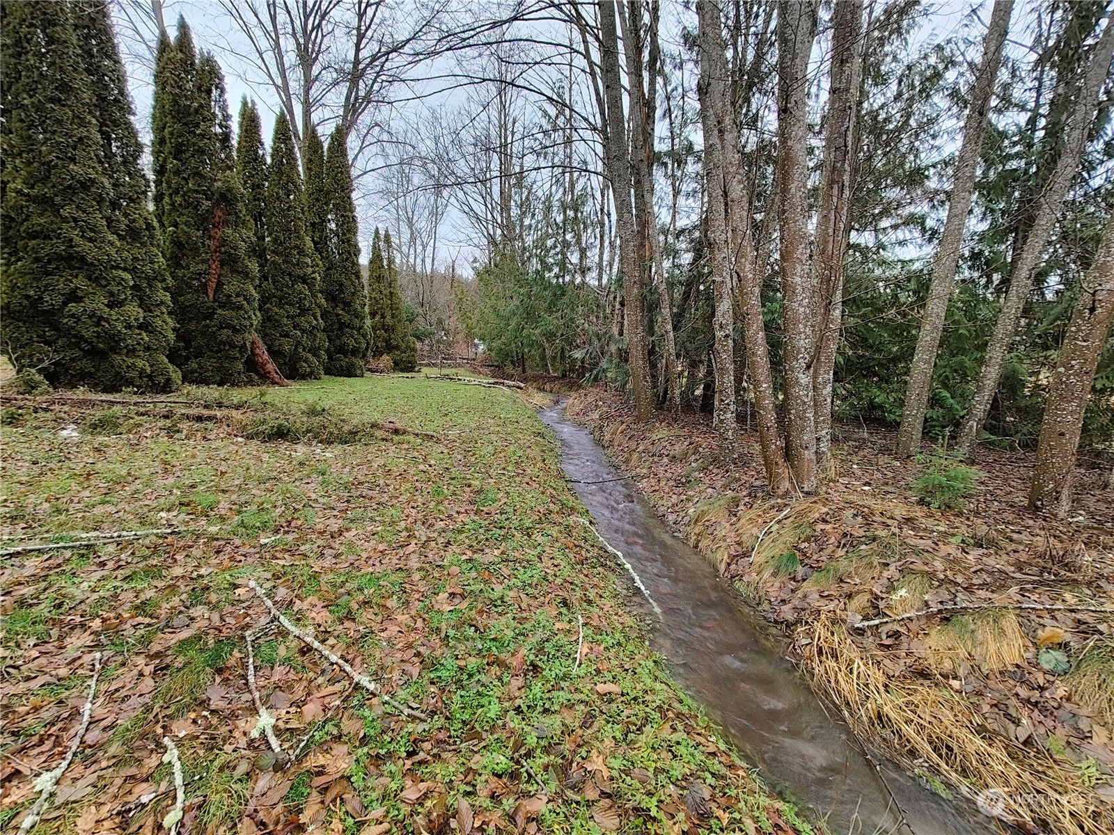36118 Southeast Fish Hatchery Road Fall City, WA 98024 - Photo 7 of 36 Gallery Image 7
