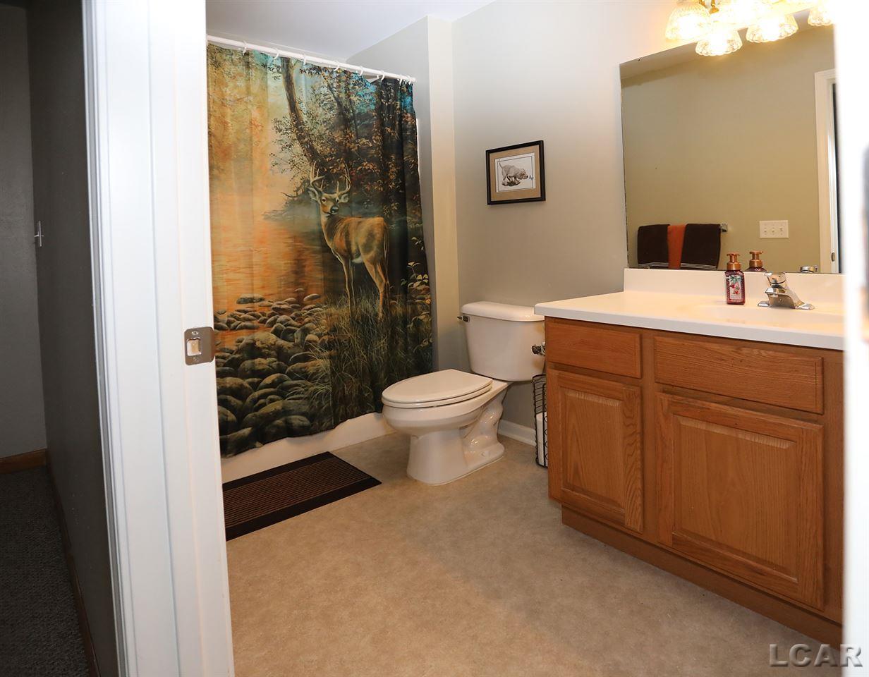 3165 Cobblestone Ridge Tecumseh, MI 49286 - Photo 31 of 43 Basement Full Bath