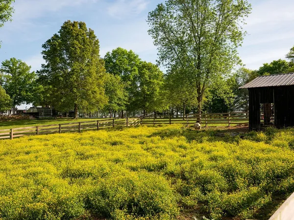 $4,995,000 | 2311 Darks Mill Road, Columbia, TN 38401