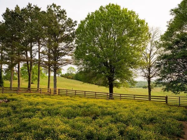 $4,995,000 | 2311 Darks Mill Road, Columbia, TN 38401