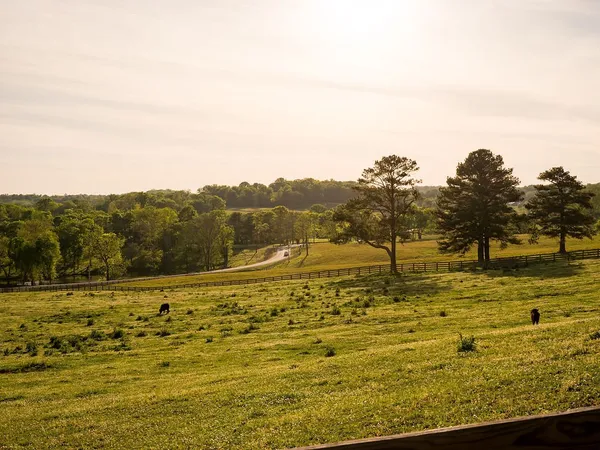 $4,995,000 | 2311 Darks Mill Road, Columbia, TN 38401