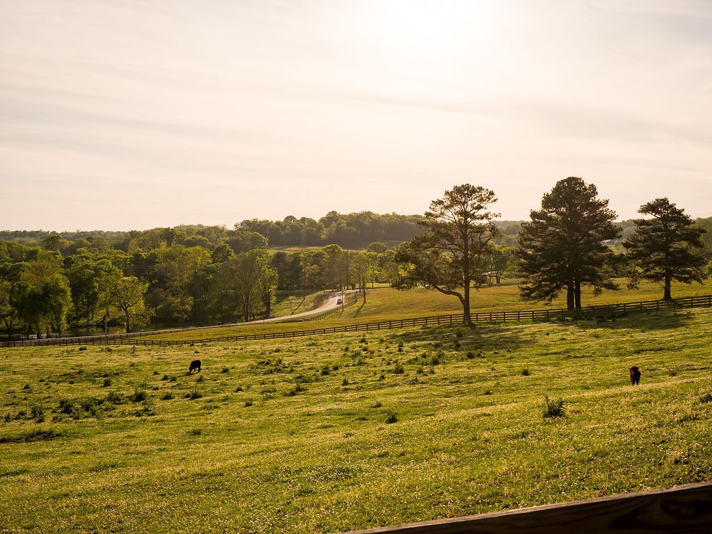 2311 Darks Mill Road Columbia, TN 38401 - Photo 80 of 97