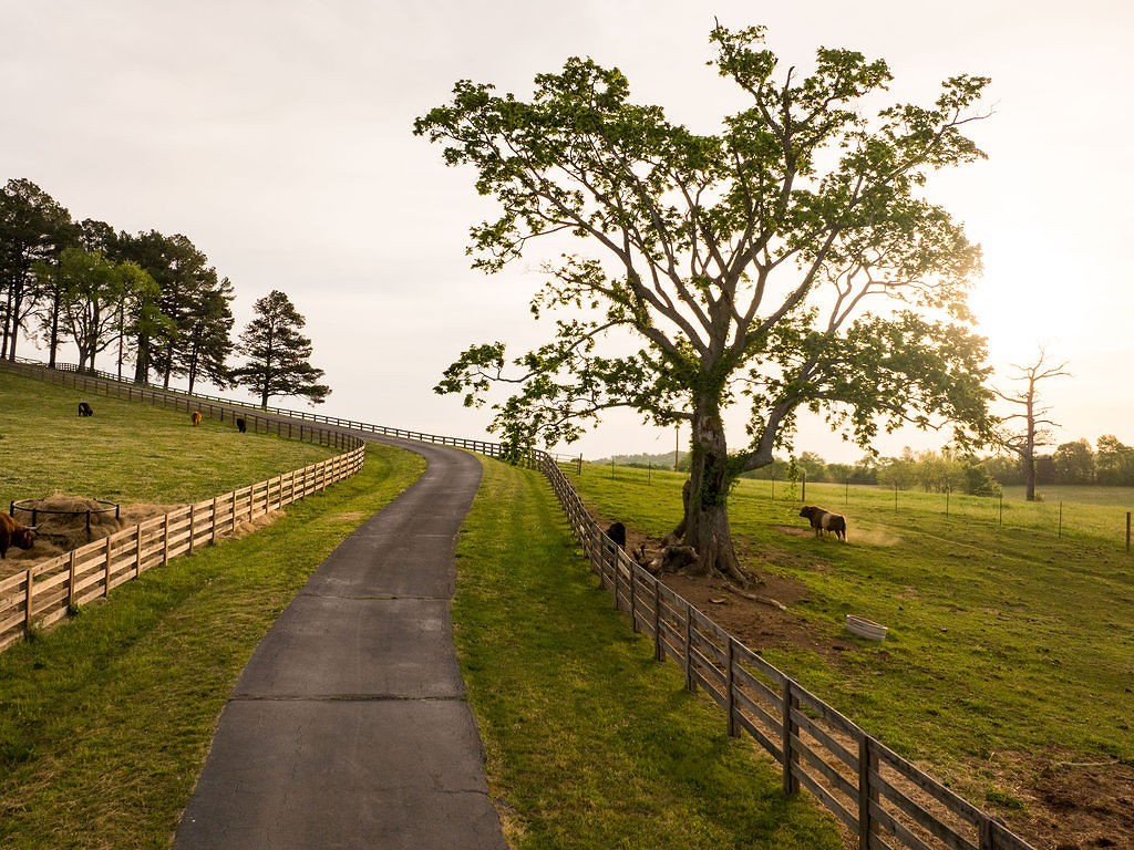 2311 Darks Mill Road Columbia, TN 38401 - Photo 89 of 97