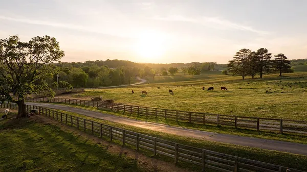 $4,995,000 | 2311 Darks Mill Road, Columbia, TN 38401