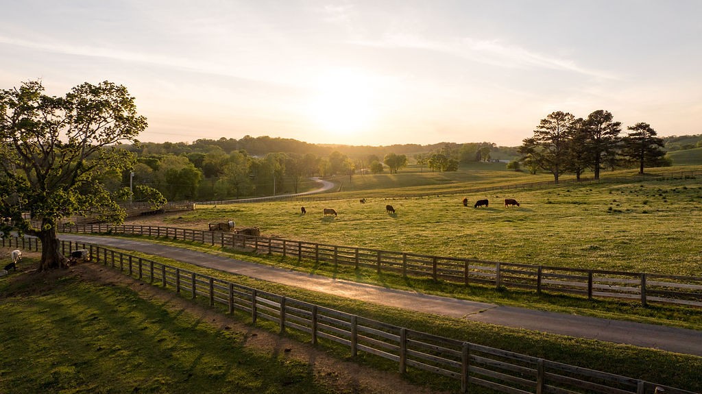 2311 Darks Mill Road Columbia, TN 38401 - Photo 95 of 97