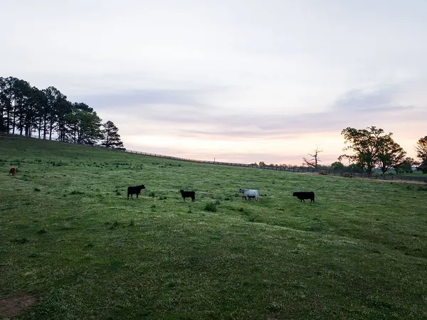 $4,995,000 | 2311 Darks Mill Road, Columbia, TN 38401