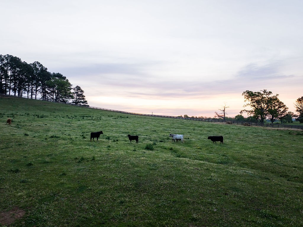 2311 Darks Mill Road Columbia, TN 38401 - Photo 96 of 97