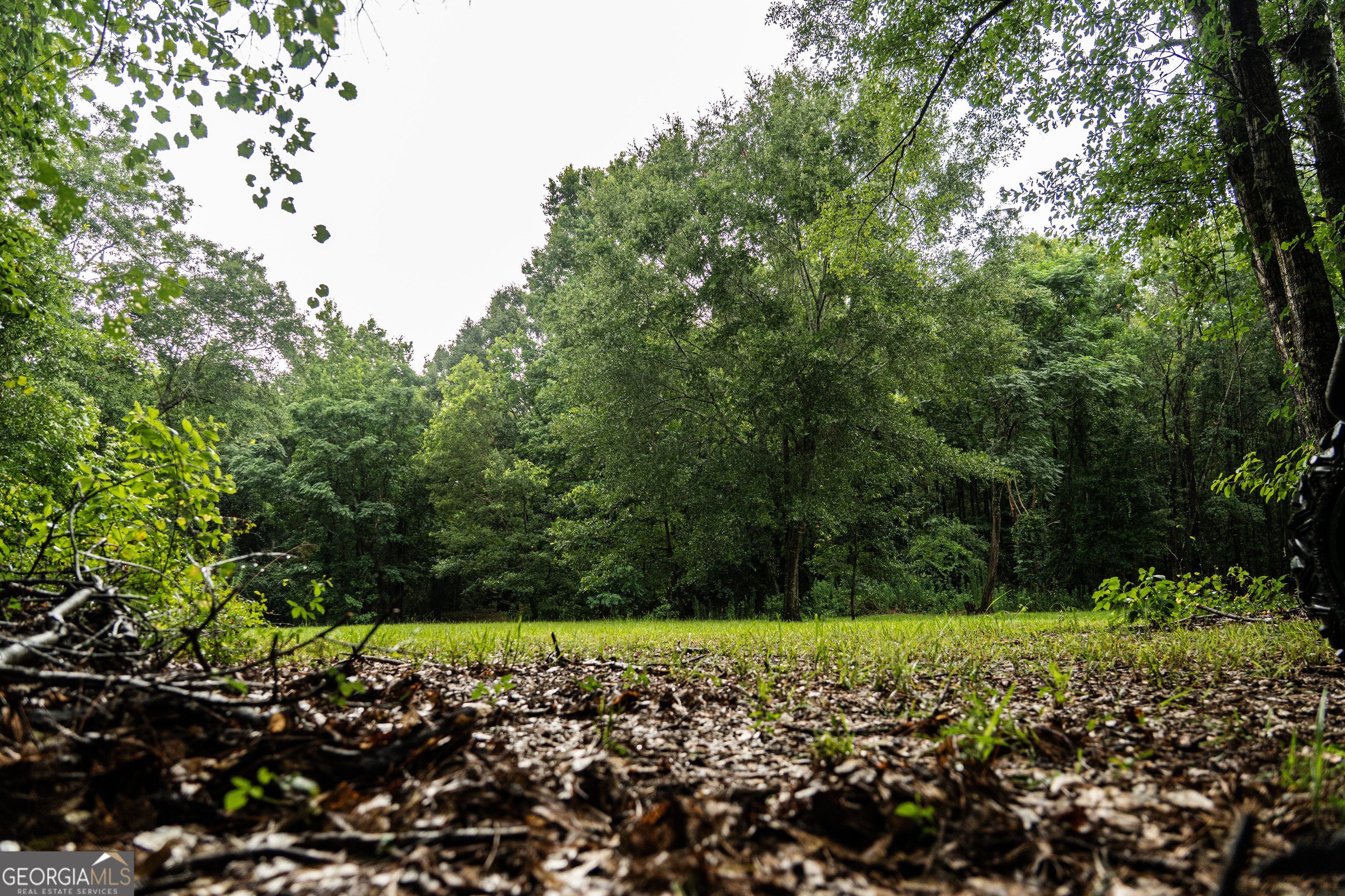 990 Highway 49 Americus, GA 31719 - Photo 73 of 121