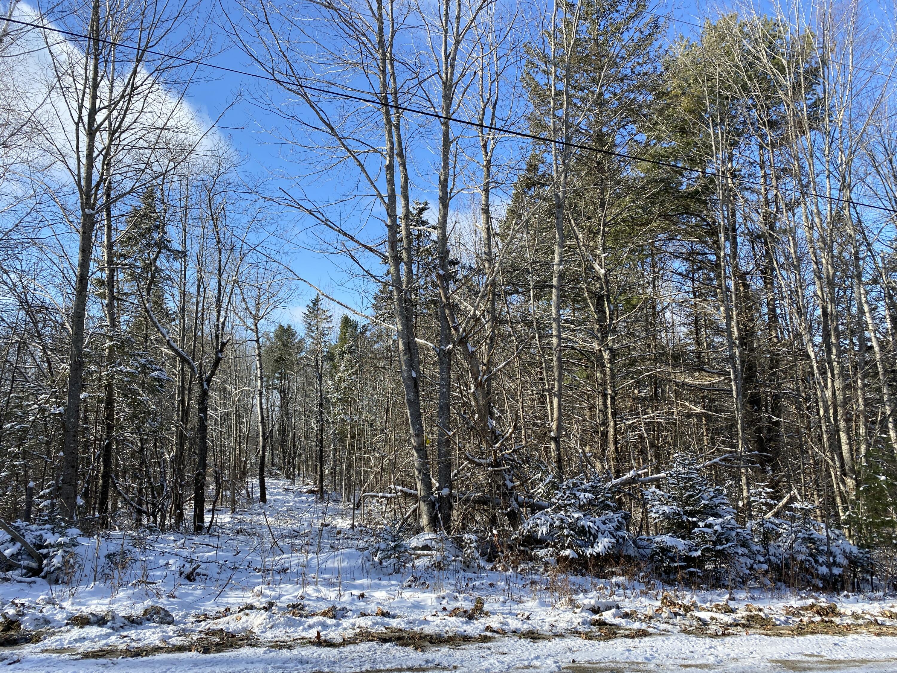 Lot 2 Coffin Road Thorndike, ME 04986 - Photo 3 of 9 IMG_3316