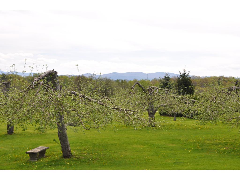 790 Ridge Road Cornwall, VT 05753 - Photo 14 of 35