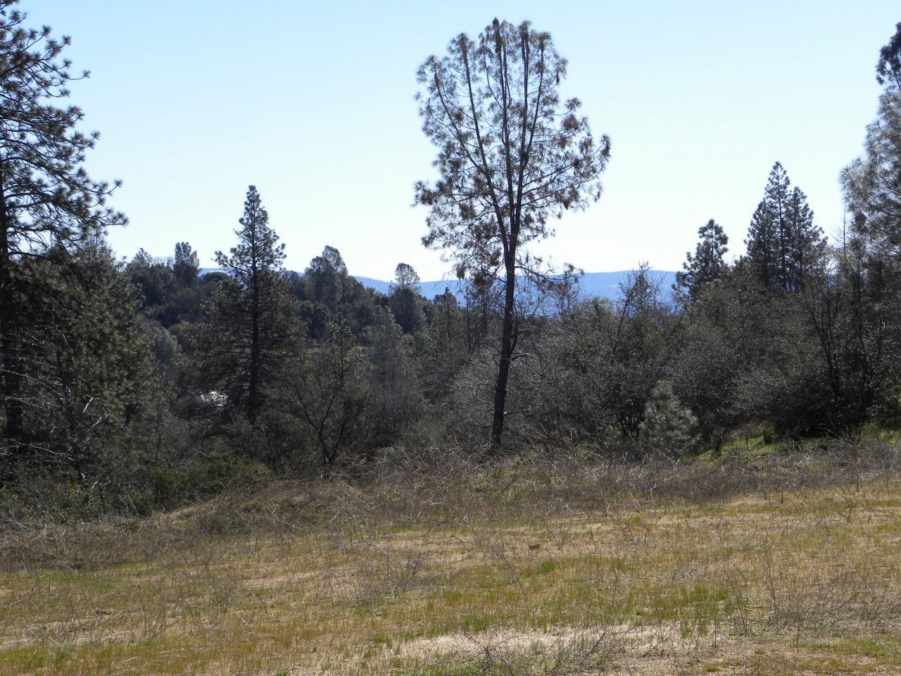 0 Teaford Saddle Road North Fork, CA 93643 - Photo 3 of 9 Gallery Image 3