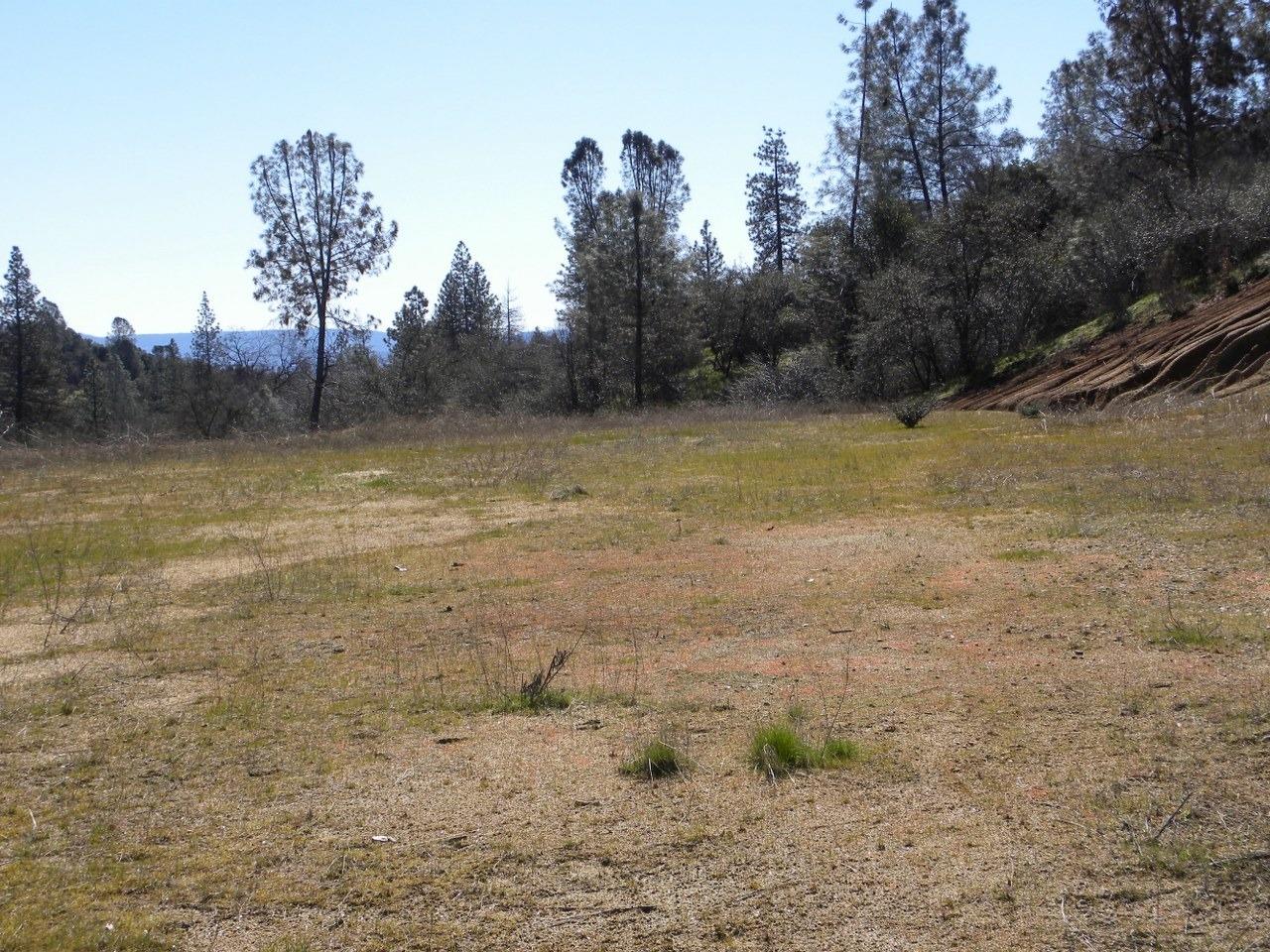 0 Teaford Saddle Road North Fork, CA 93643 - Photo 4 of 9 Gallery Image 4