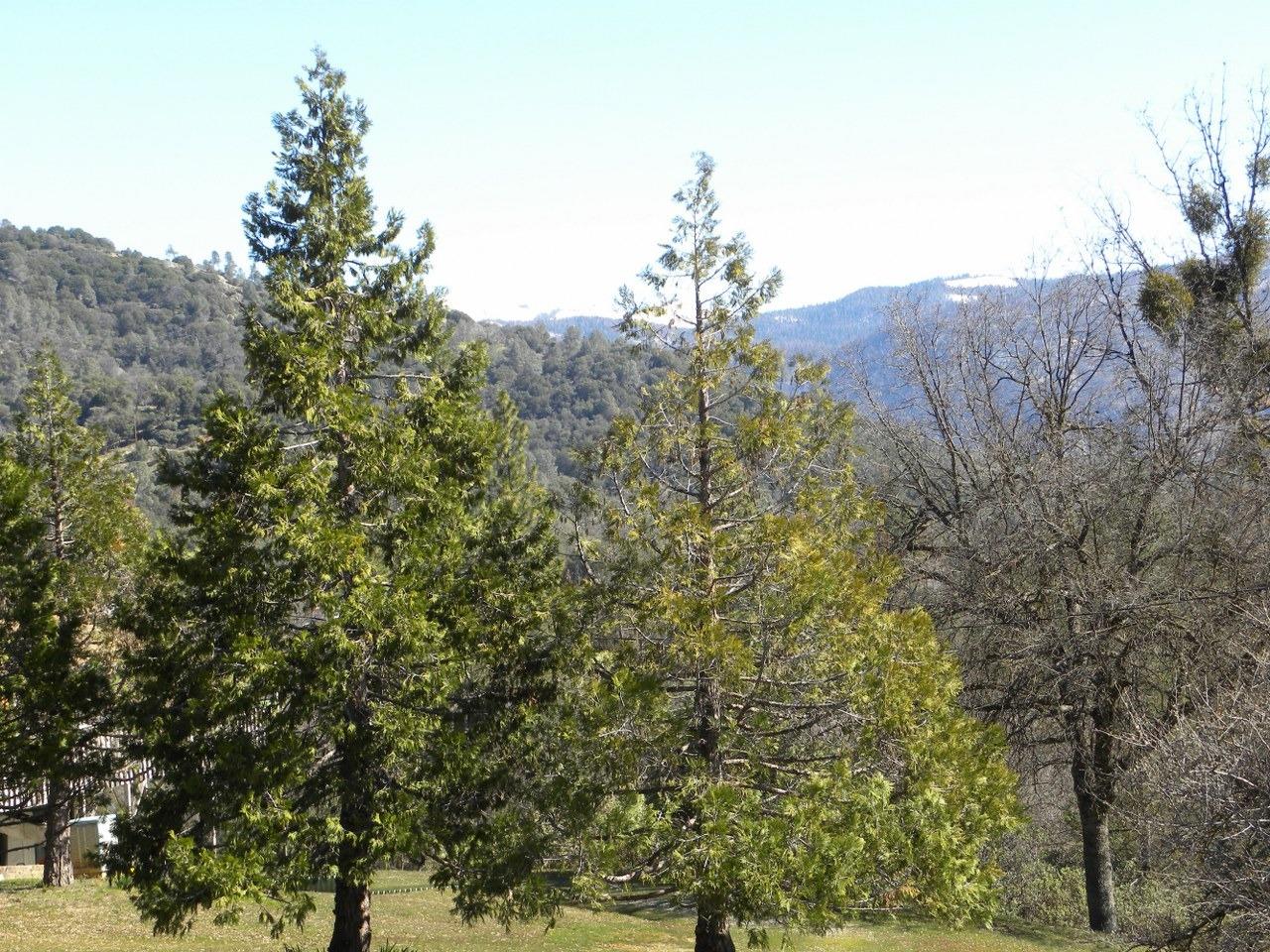 0 Teaford Saddle Road North Fork, CA 93643 - Photo 5 of 9 Gallery Image 5