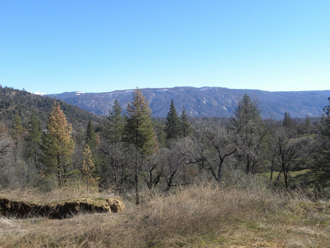 0 Teaford Saddle Road North Fork, CA 93643 - Photo 8 of 9 Gallery Image 8