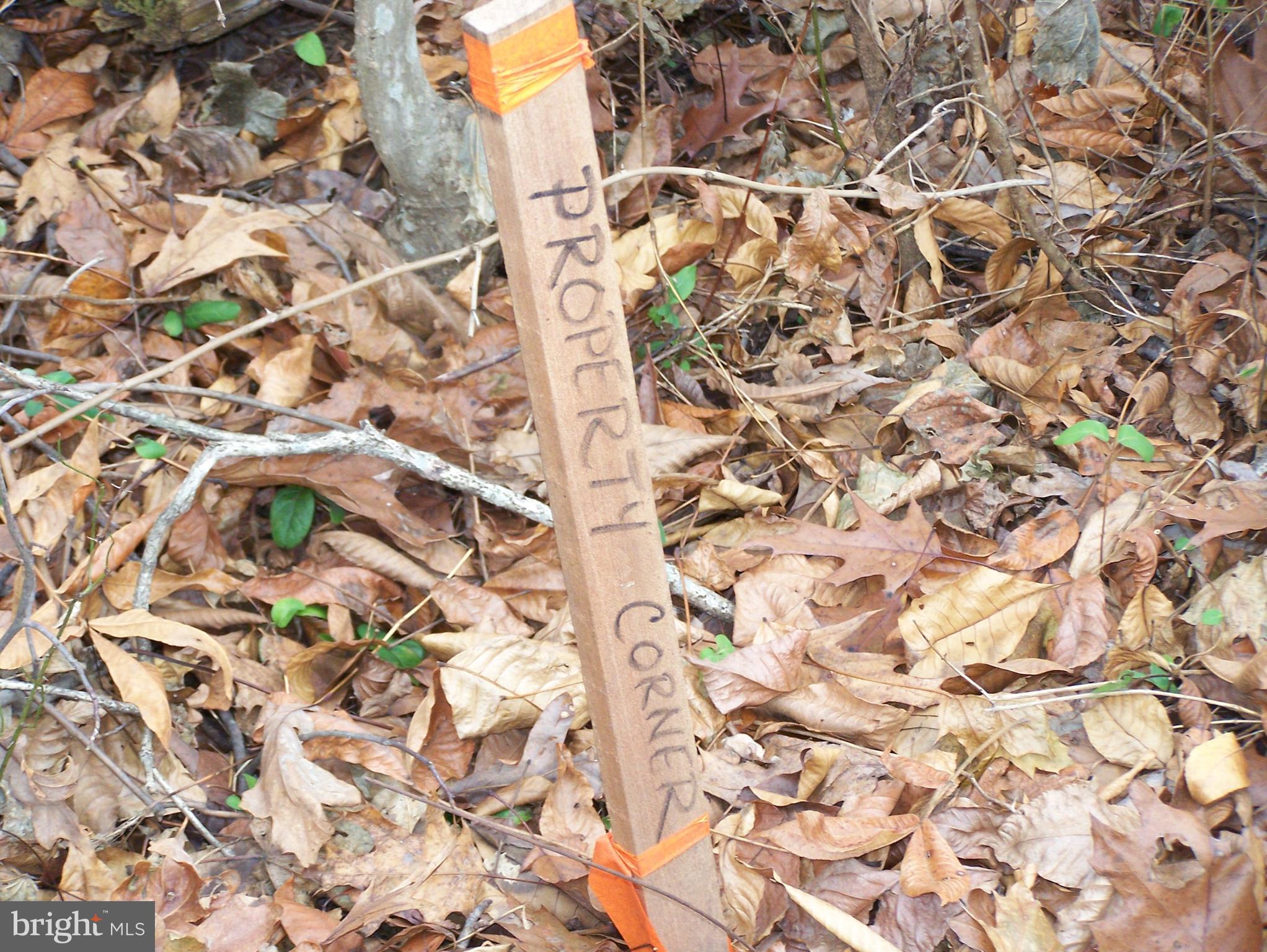 0 Solomon Road Gettysburg, PA 17325 - Photo 11 of 15 Both back property corners are marked