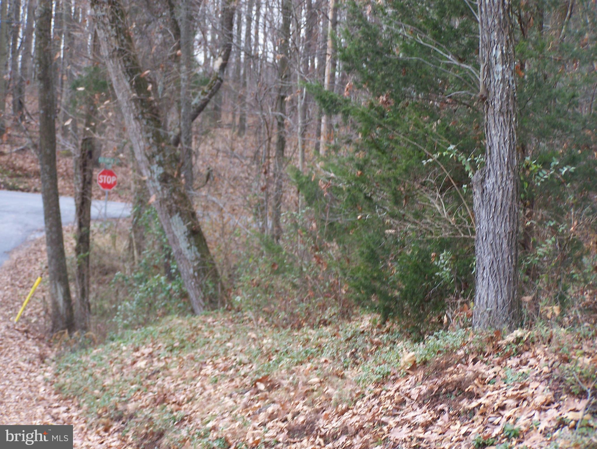 0 Solomon Road Gettysburg, PA 17325 - Photo 14 of 15 Front corner at Cemetery Road on east side of lot