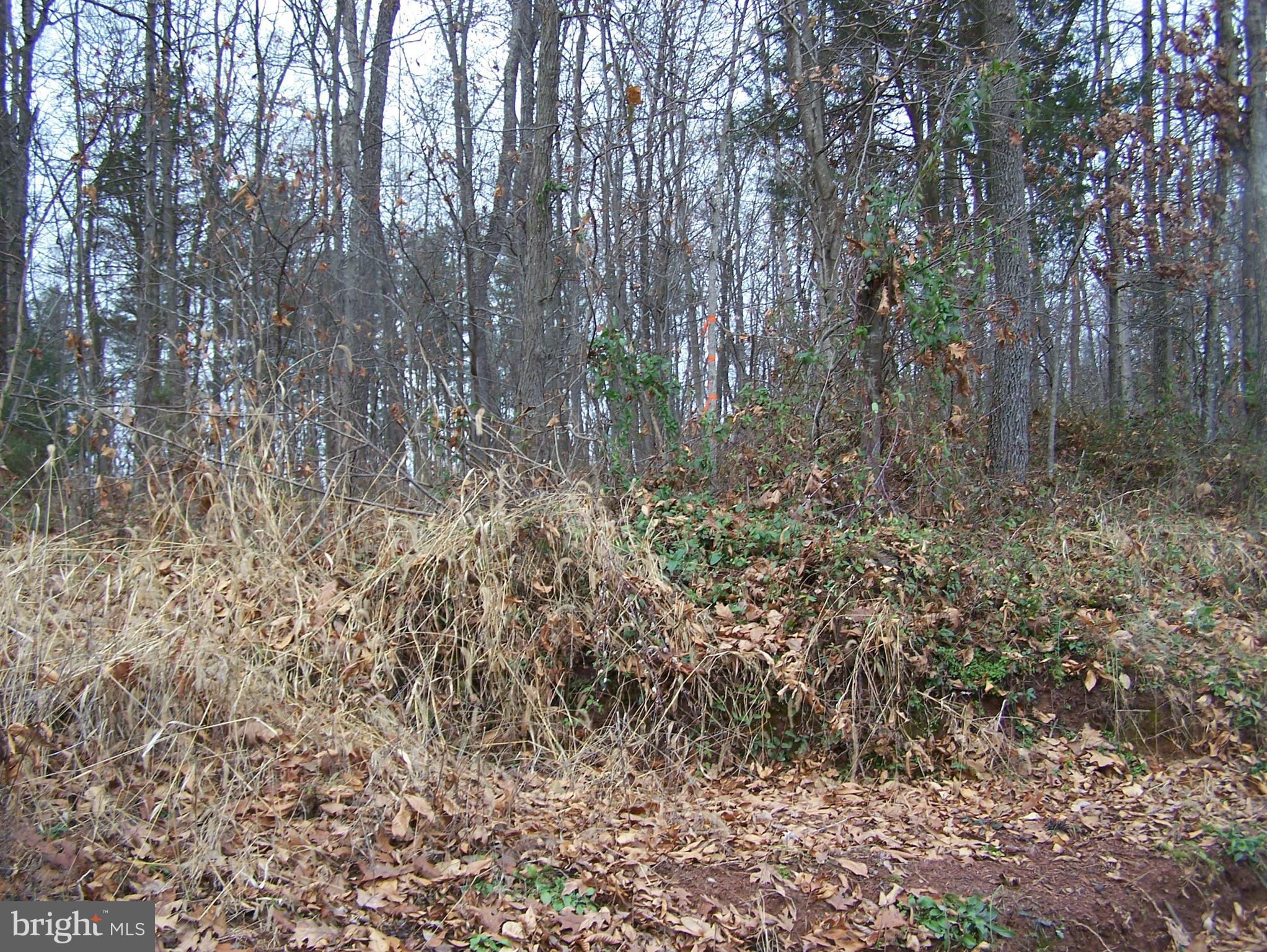 0 Solomon Road Gettysburg, PA 17325 - Photo 9 of 15 main portion of lot