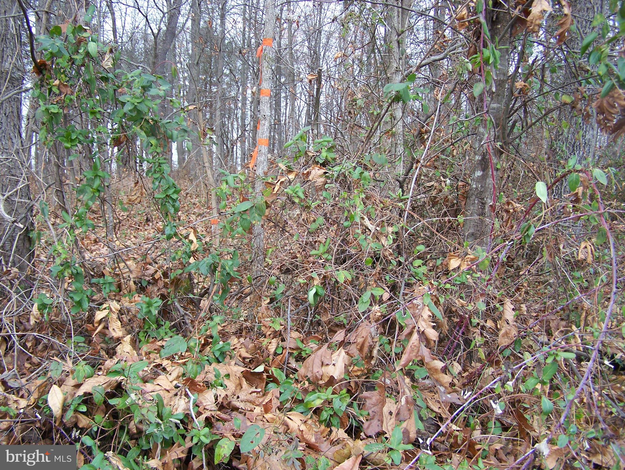 0 Solomon Road Gettysburg, PA 17325 - Photo 10 of 15 Property marker on back right side