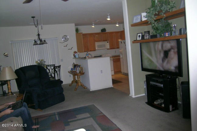 44 South Greenfield Road, Unit 44 Mesa, AZ 85206 - Photo 15 of 21 Great Room