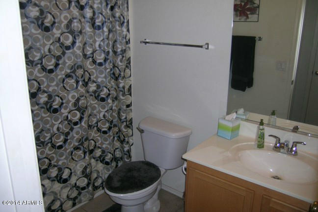 44 South Greenfield Road, Unit 44 Mesa, AZ 85206 - Photo 6 of 21 Bathroom 2