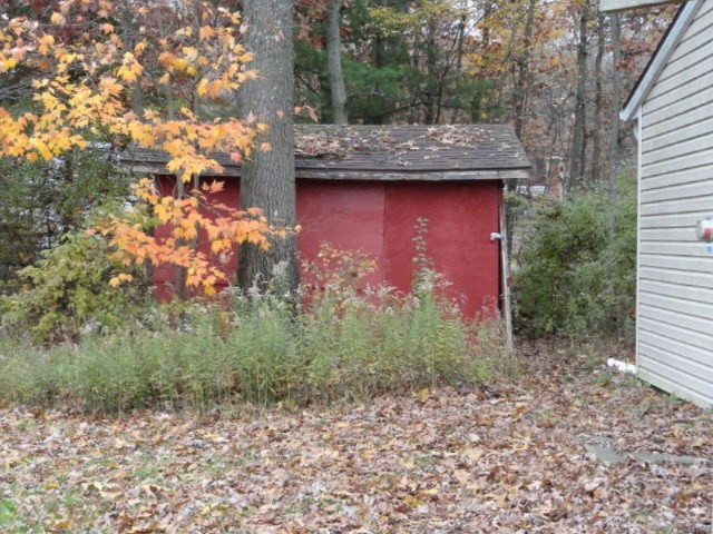 23653 2 Mile Road Newaygo, MI 49337 - Photo 11 of 15 Chicken coop
