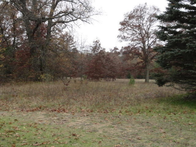 23653 2 Mile Road Newaygo, MI 49337 - Photo 13 of 15 Field by barn