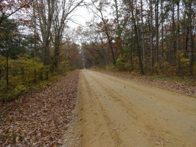 23653 2 Mile Road Newaygo, MI 49337 - Photo 14 of 15 Road looking east