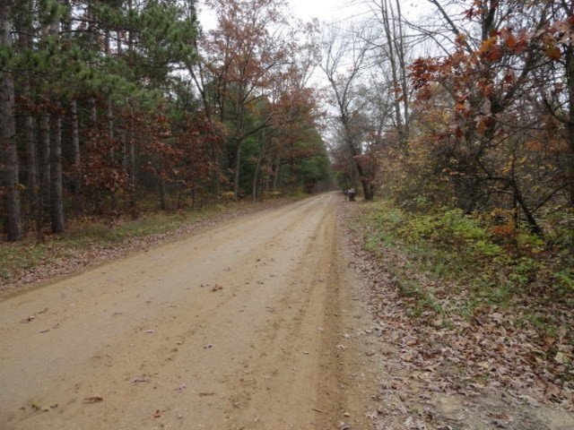 23653 2 Mile Road Newaygo, MI 49337 - Photo 15 of 15 Road looking west