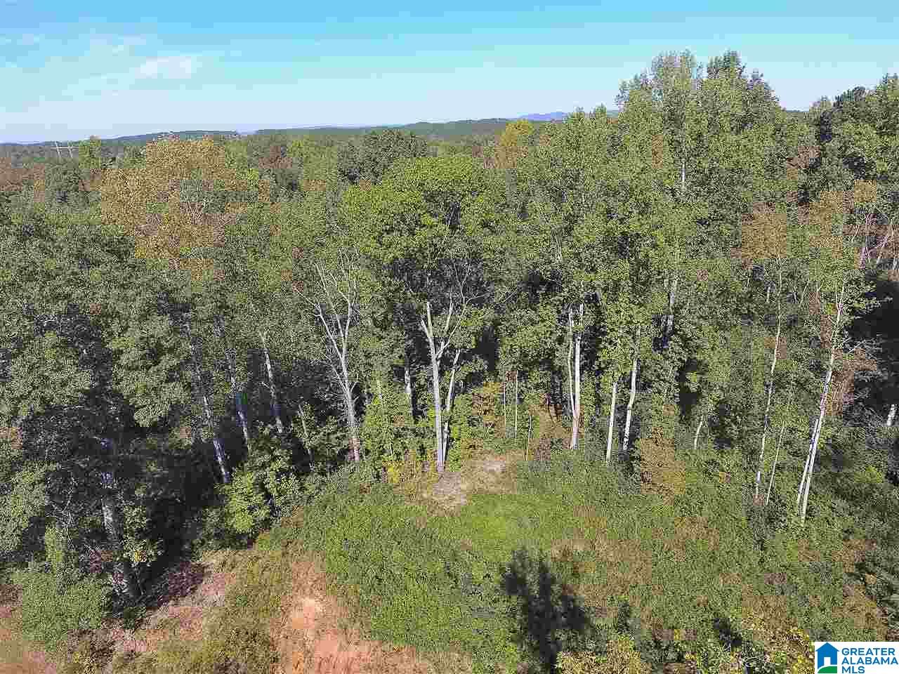 1880 New County Line Road Sylacauga, AL 35151 - Photo 10 of 13 Gallery Image 10