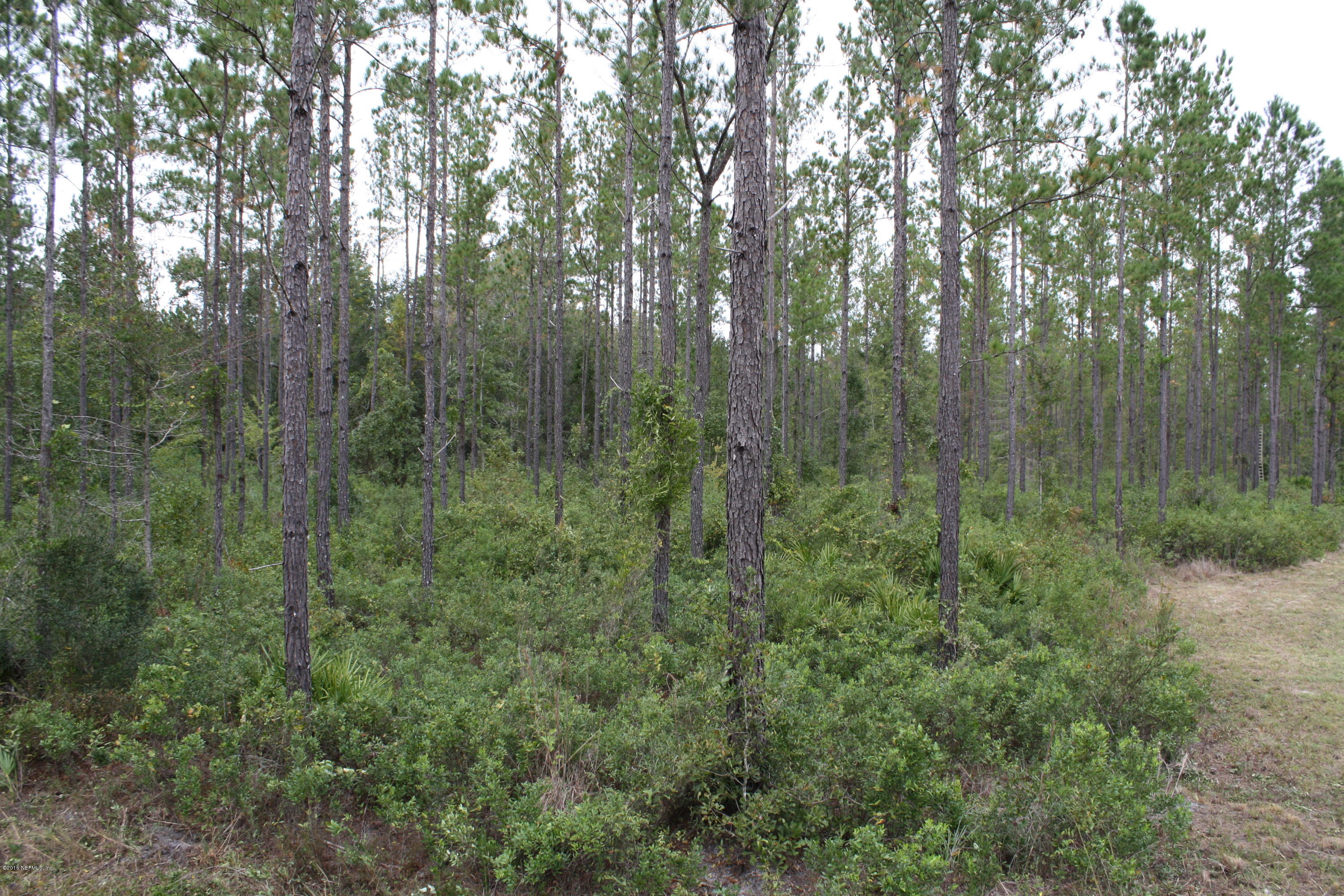 0 Sawtooth Ridge Callahan, FL 32011 - Photo 5 of 7 2016-11-09 16.31.07