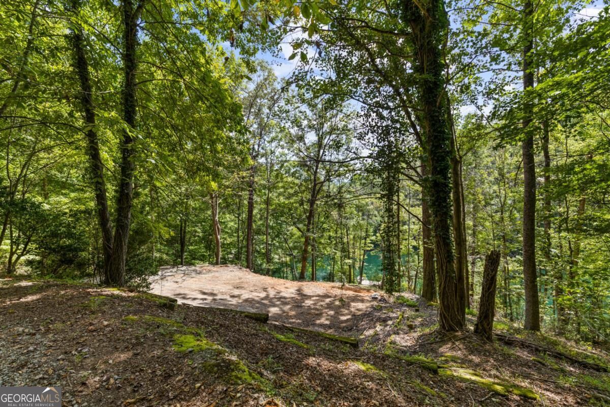 44-45 Overlook Drive Blue Ridge, GA 30513 - Photo 8 of 27 Gallery Image 8