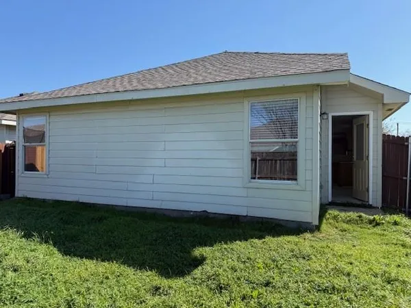 a view of a backyard with plants and large tree