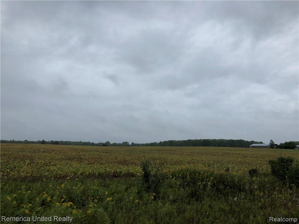 0 Long Rapids Road Lachine, MI 49753 - Photo 12 of 13