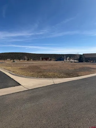 $43,000 | 305 Southeast Limestone Court, Cedaredge, CO 81413