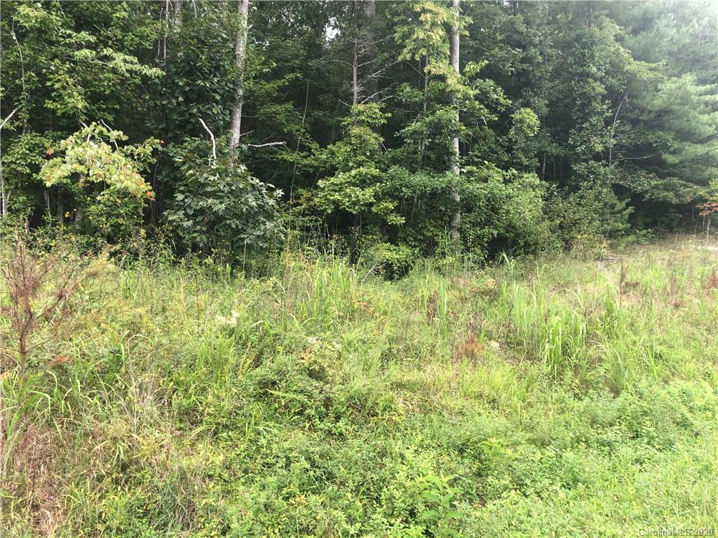 3708 Leger Road Valdese, NC 28690 - Photo 1 of 1 Gallery Image 1