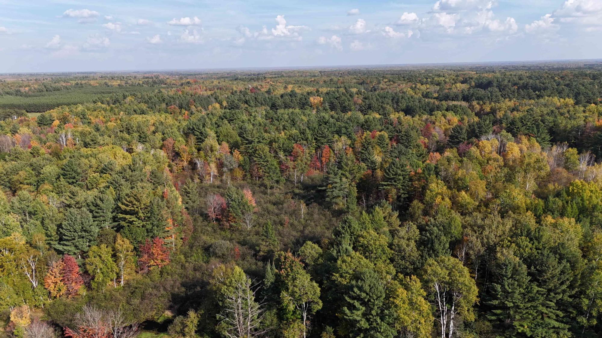 N9730 East Solberg Lake Road Phillips, WI 54555 - Photo 2 of 43 Gallery Image 2