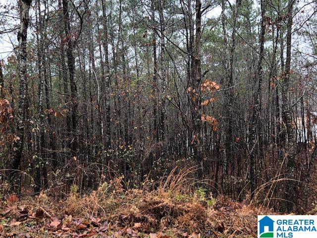 0 Lakeside Lane, Unit 31 Alpine, AL 35014 - Photo 7 of 42
