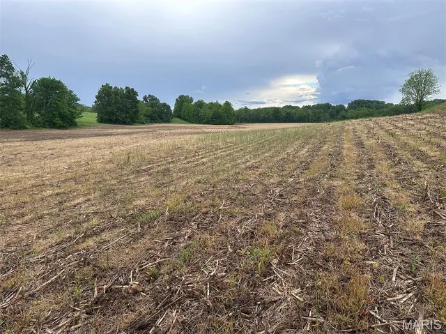 $375,000 | 0 Rd Runner Hollow, Olive Branch, IL 62969