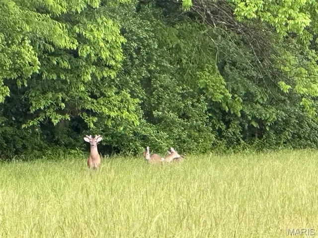 $375,000 | 0 Rd Runner Hollow, Olive Branch, IL 62969