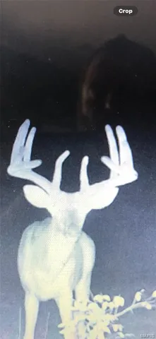 $375,000 | 0 Rd Runner Hollow, Olive Branch, IL 62969