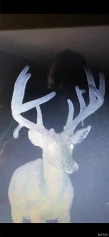 $375,000 | 0 Rd Runner Hollow, Olive Branch, IL 62969