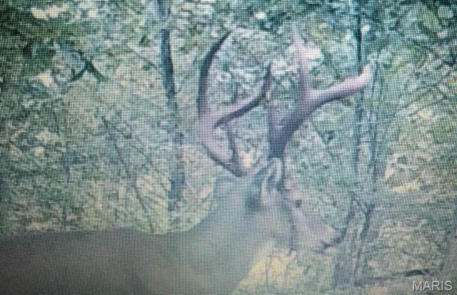 $375,000 | 0 Rd Runner Hollow, Olive Branch, IL 62969